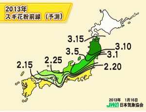 花粉の季節です